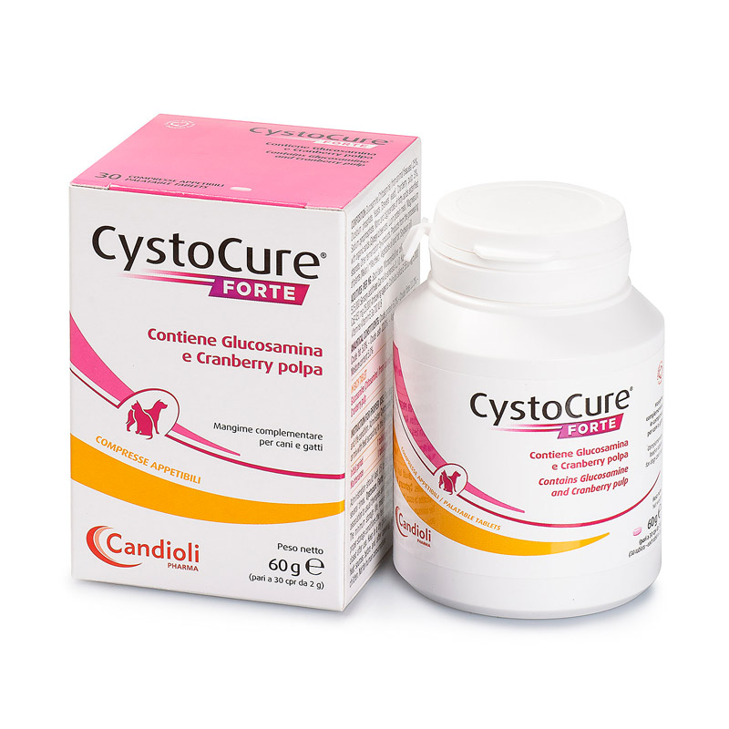 Cystocure FORTE compresse