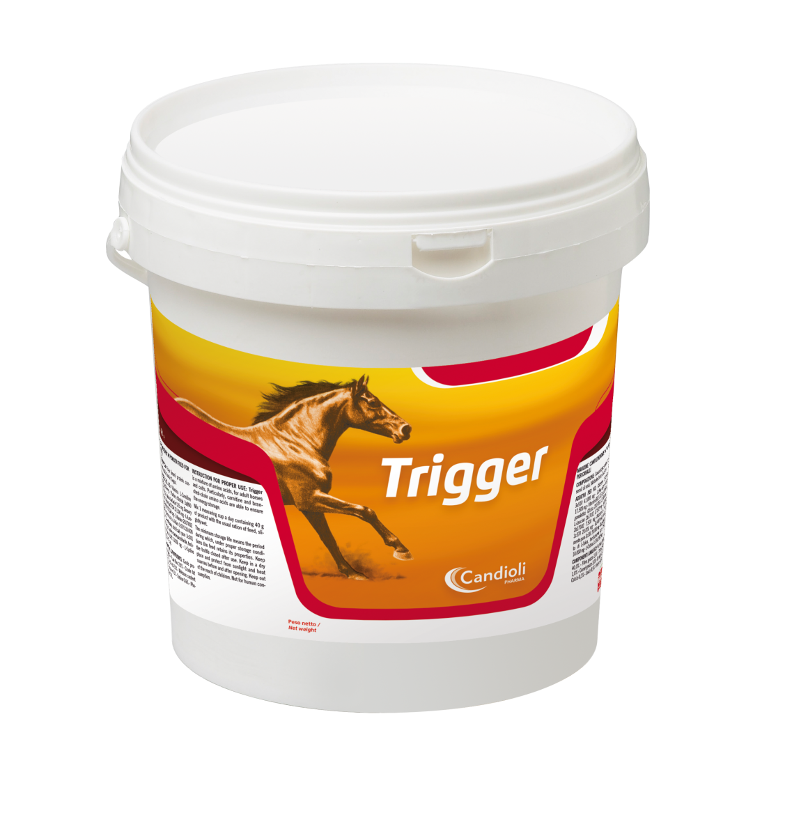 Trigger