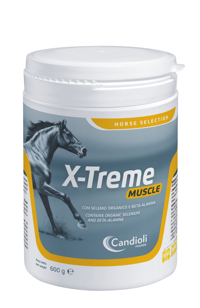 X-Treme Muscle