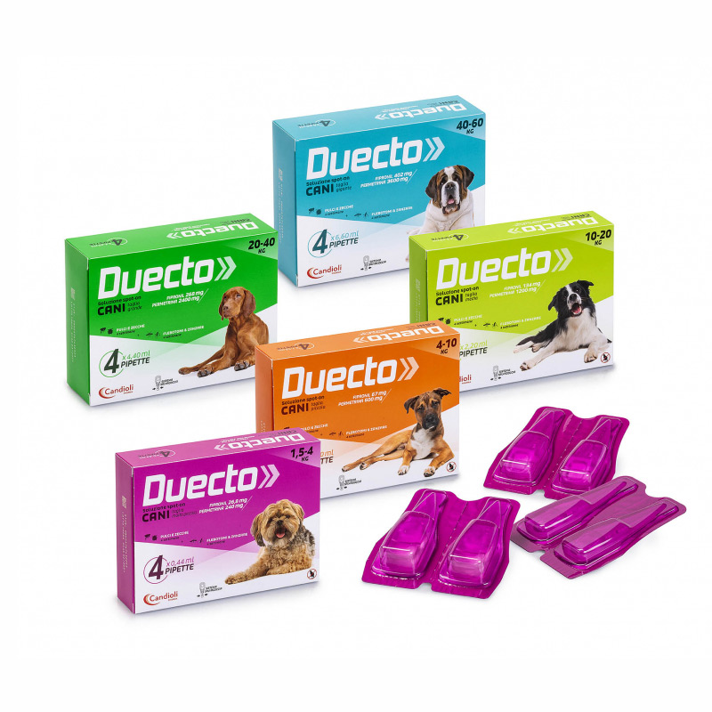 Duecto