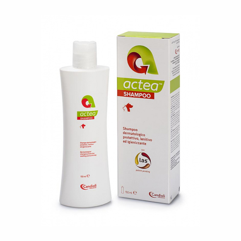 Actea® Shampoo